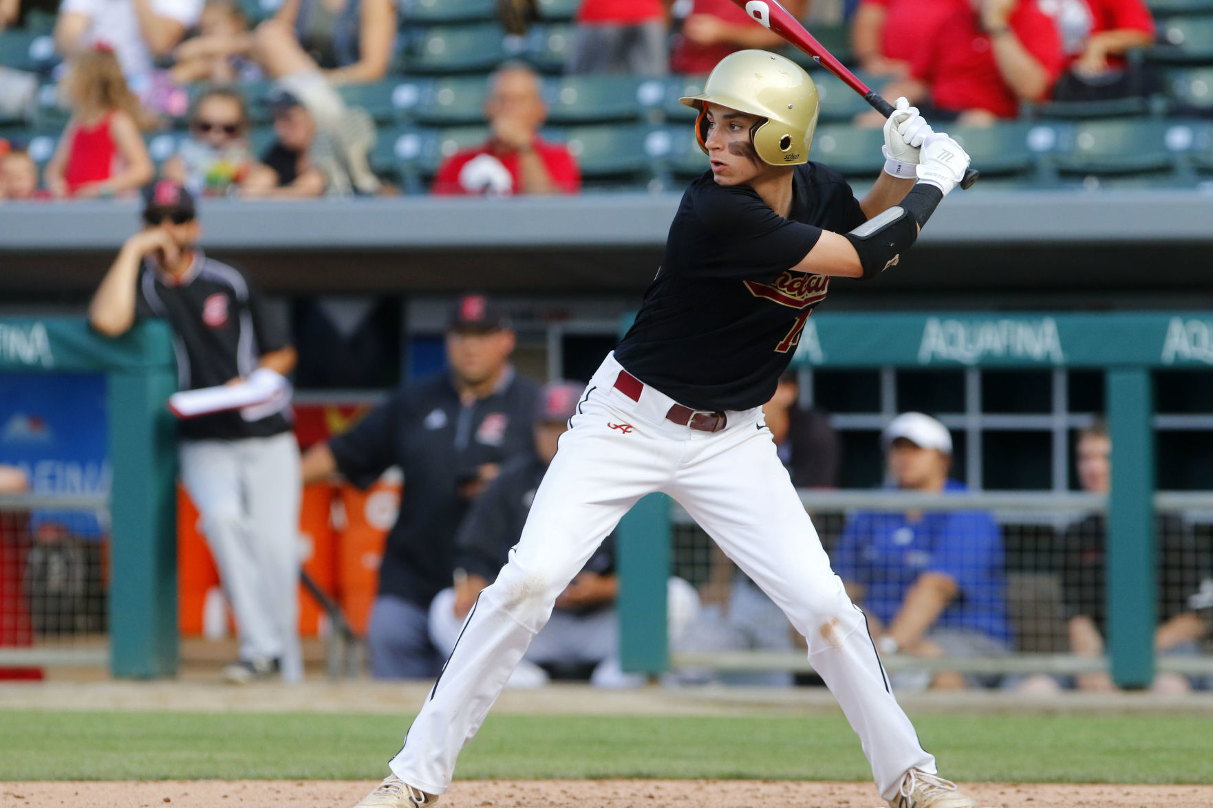 Gallery: Class 3A baseball championship: Andrean vs. Edgewood